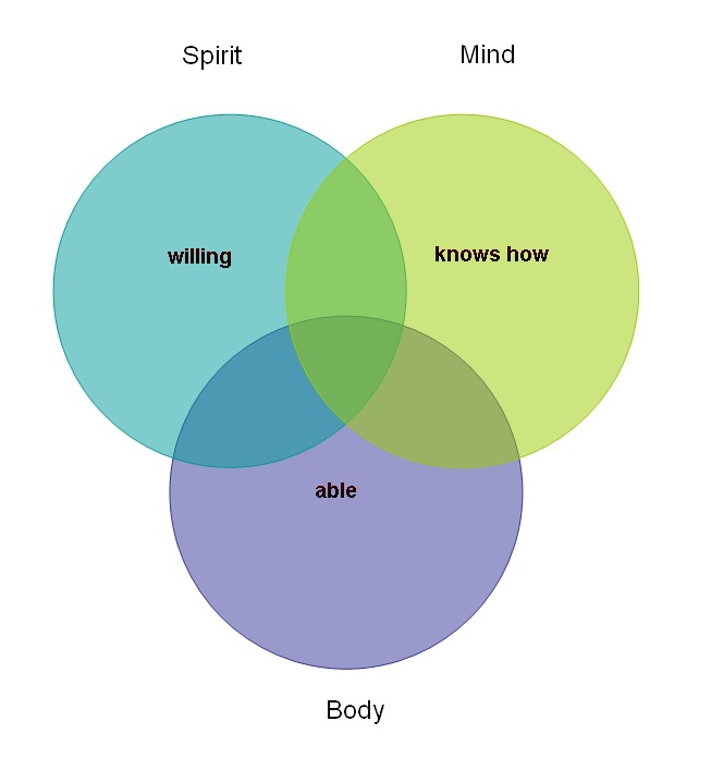 Figure Three: Intrapsychic Taxonomy and Follower Readiness